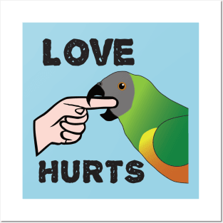 Love Hurts - Senegal Parrot Posters and Art